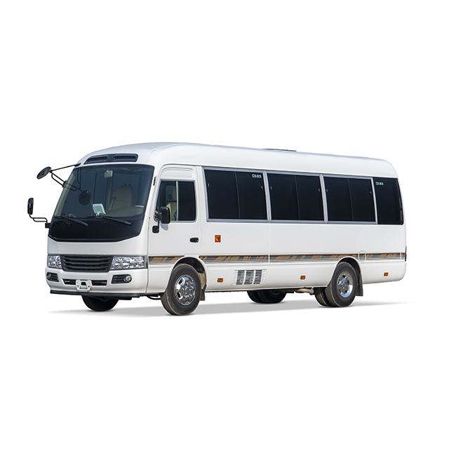 12 Seats Customized Luxury Coaster Reception Minibus 